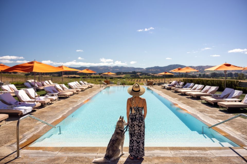 The outdoor swimming pool with loungers alongside